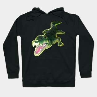 Crocodile alligator reptile mammal Hoodie